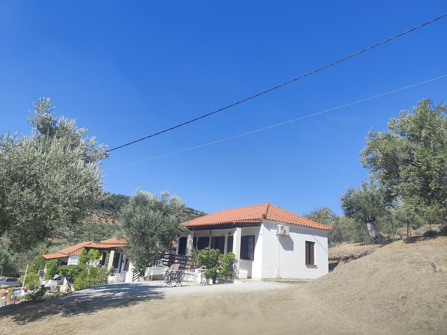 Sonia Studios