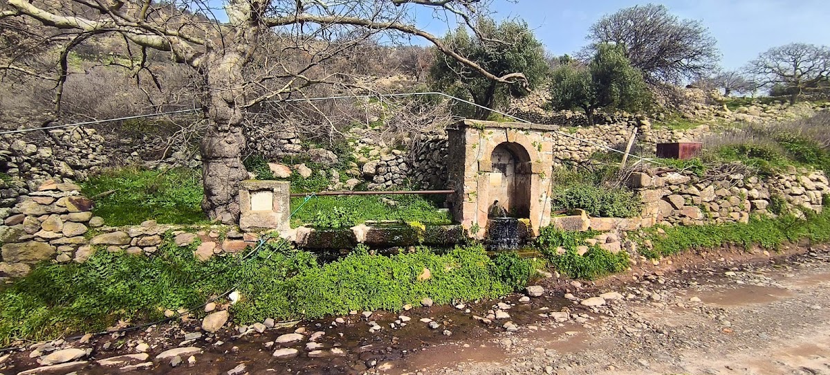 Traditional Spring - Ampelotopia