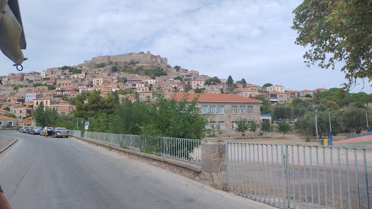 Village Train