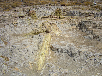 Sigri Petrified Forest Park