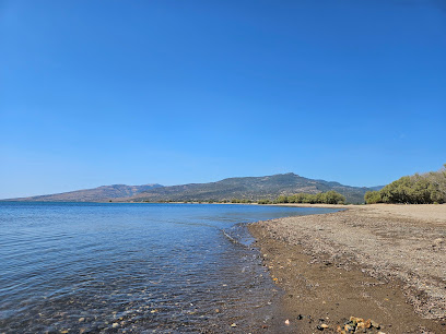 Skala Kalloni Beach