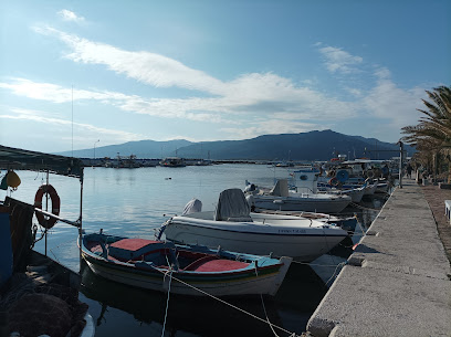 Skala Kallonis