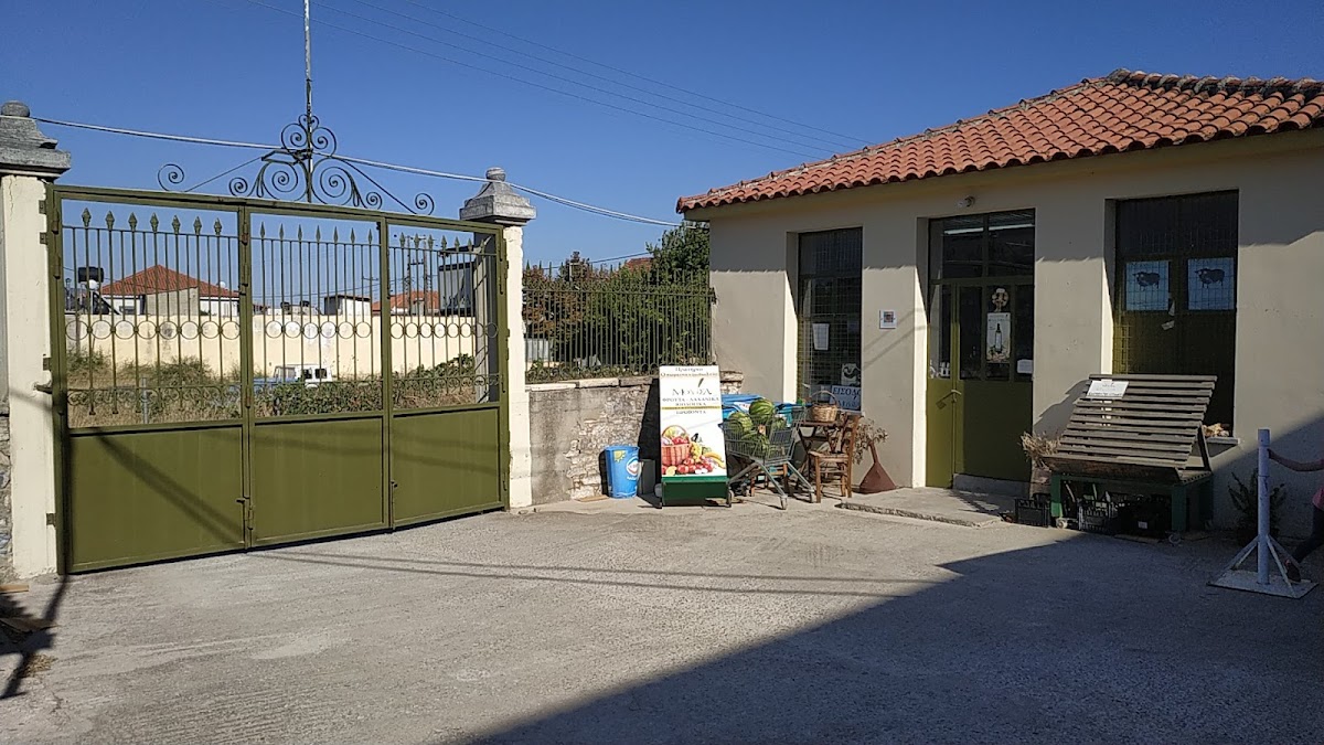 Skopelos Olive Cooperative