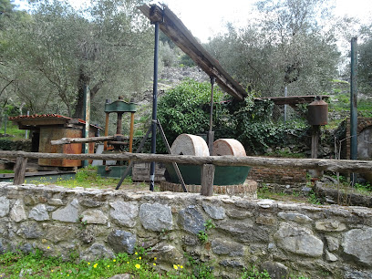 Traditional Oil Mill Museum