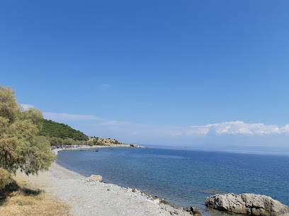 Tsamakia beach