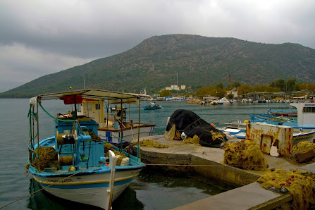 Tzanetos Emmanouil