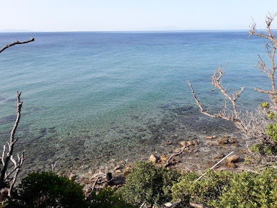 Παναγία Βατάχτι