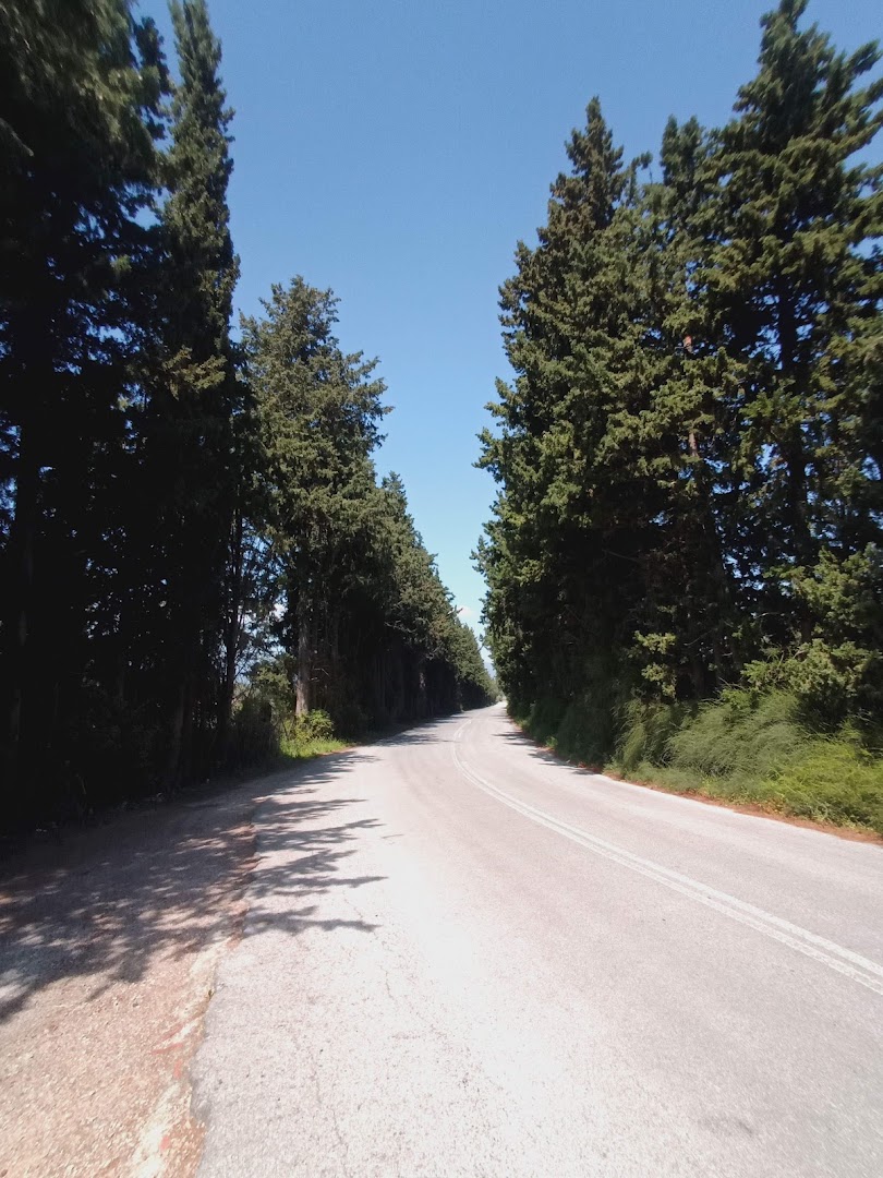 Gallery image 15