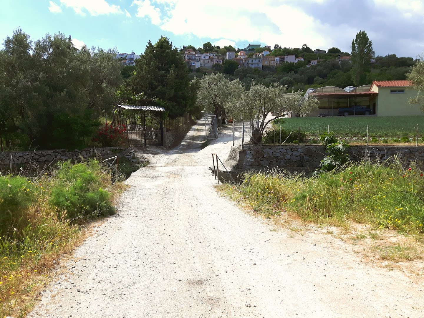 Gallery image 10