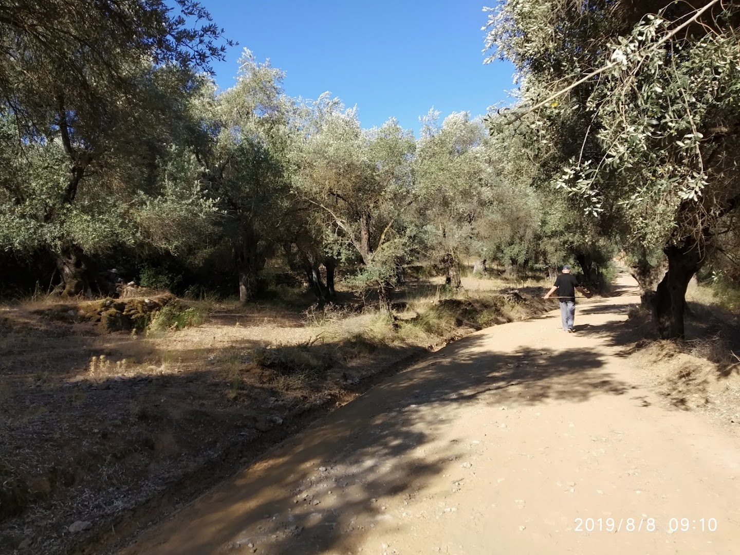Gallery image 12