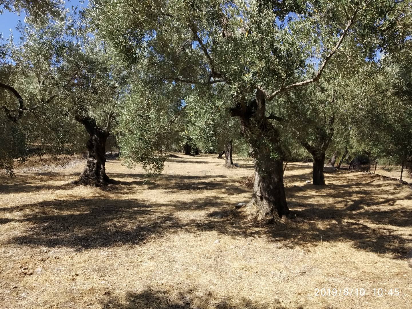 Gallery image 13