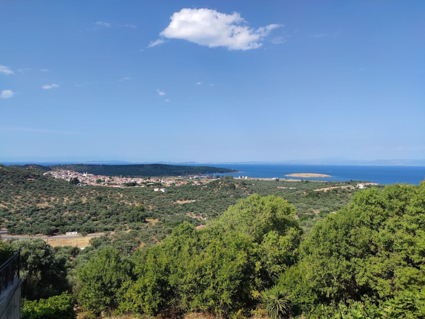 Afalonas
