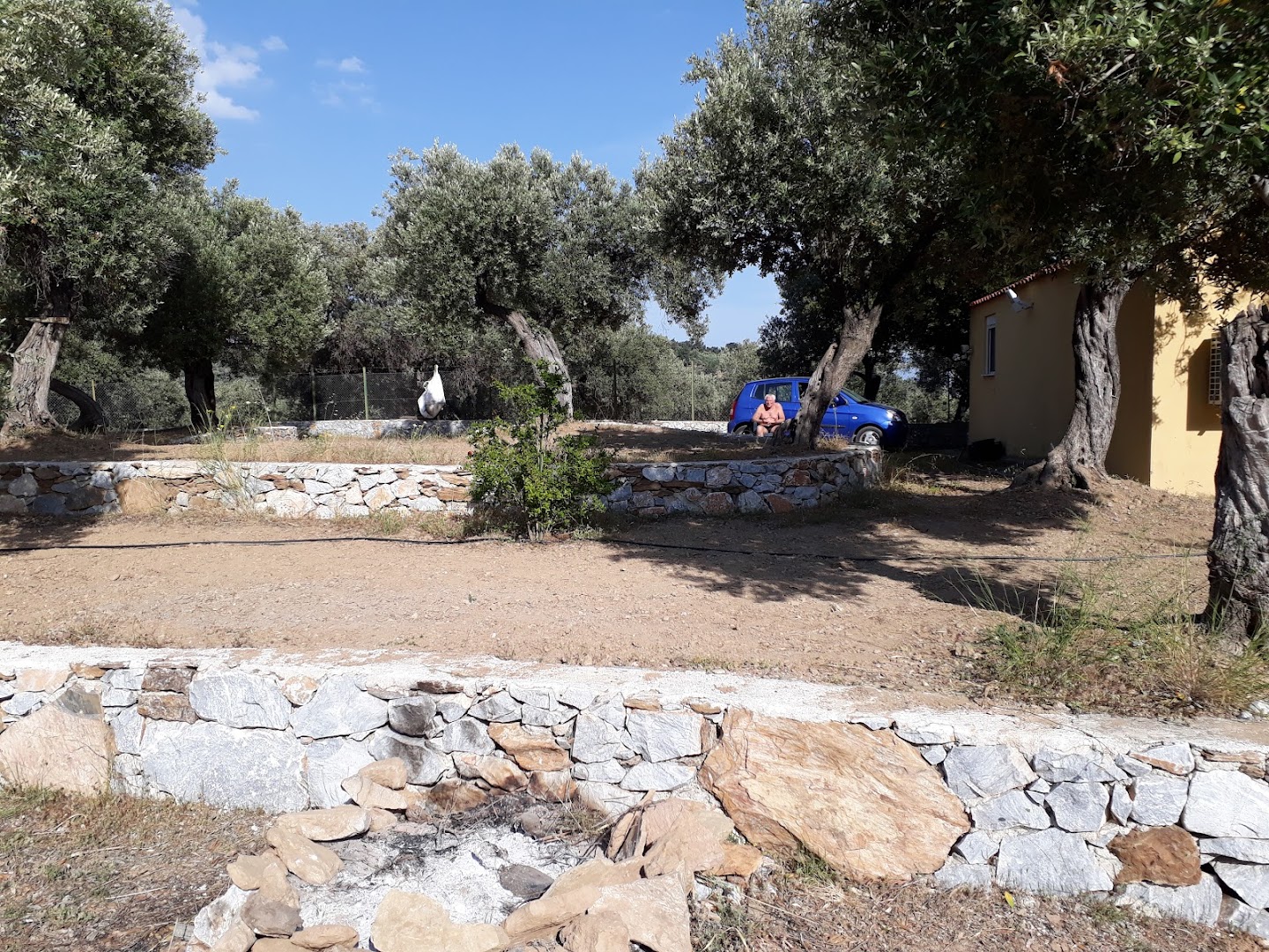 Gallery image 10