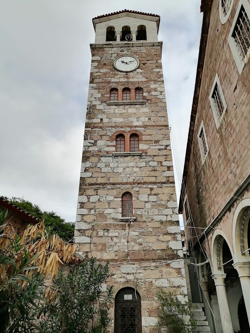 Gallery image 11