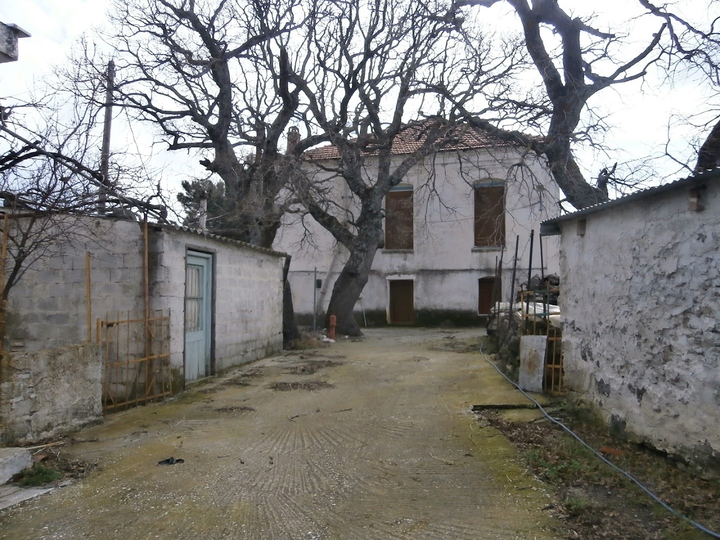 Gallery image 8