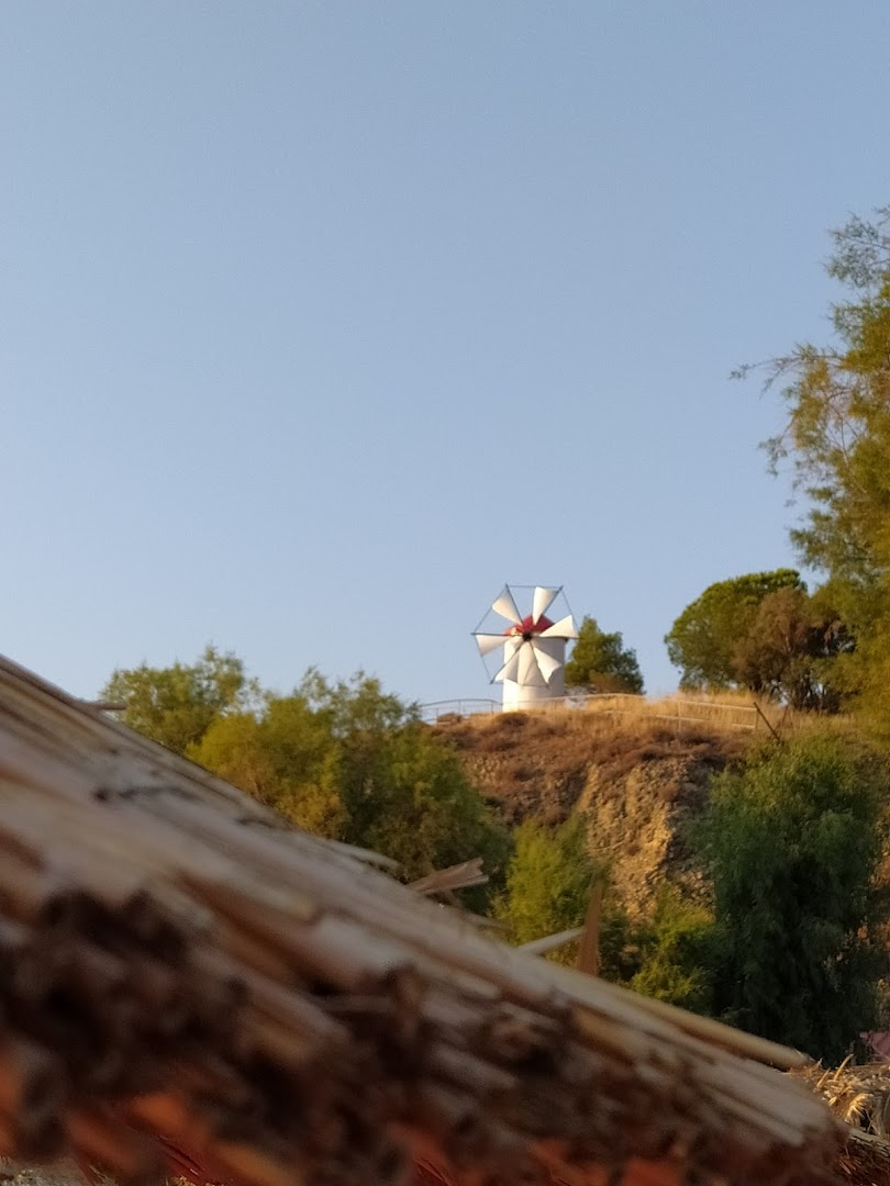 Gallery image 3