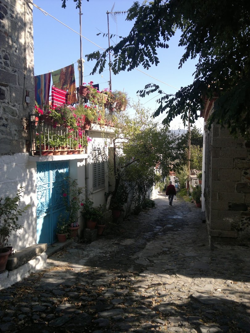 Gallery image 5