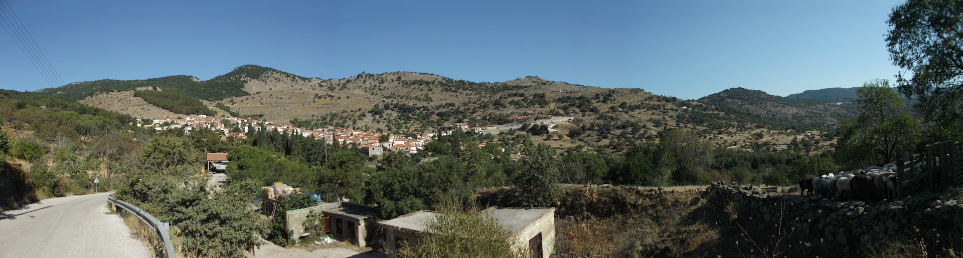 Gallery image 4
