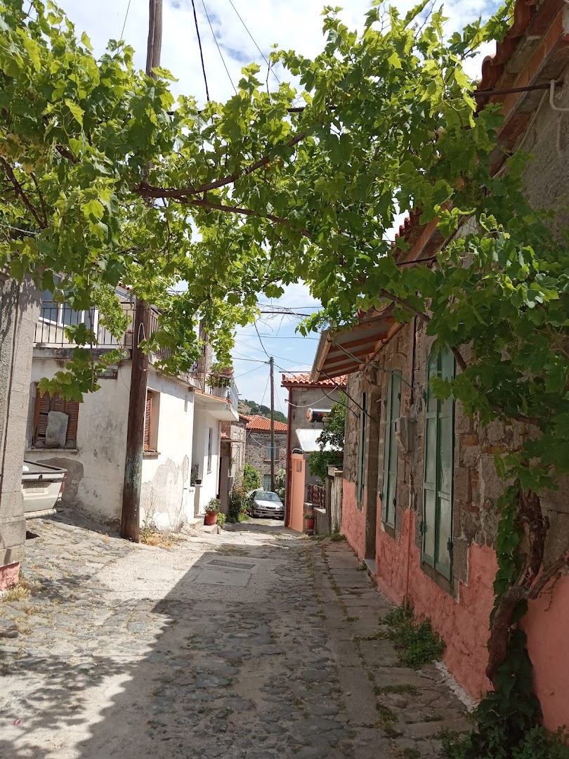 Gallery image 18