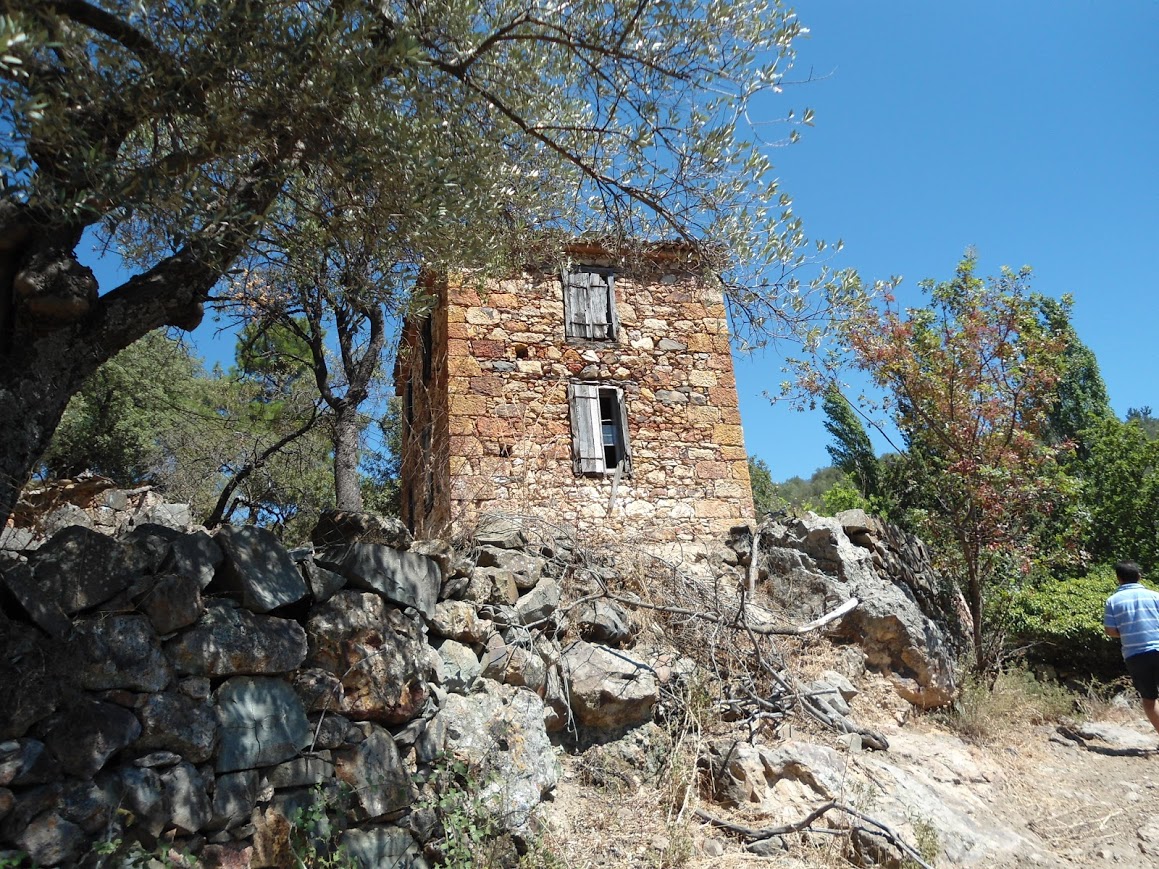 Gallery image 2
