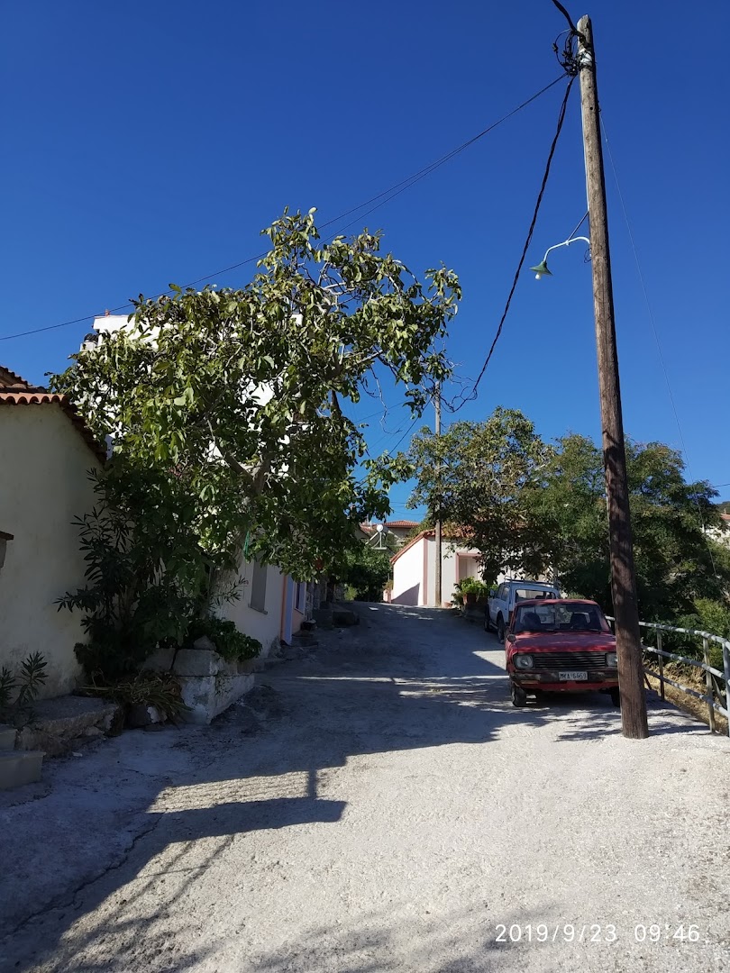 Gallery image 15
