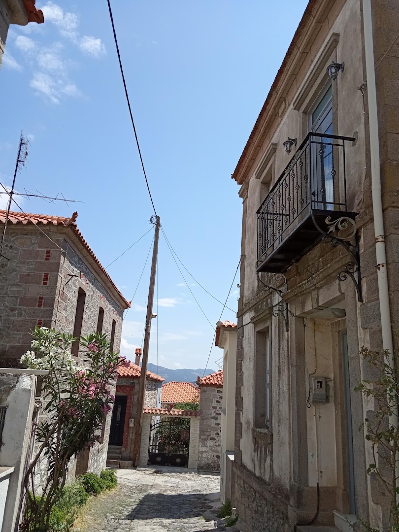 Gallery image 9
