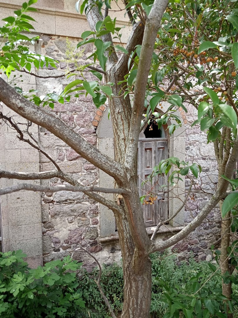 Gallery image 13