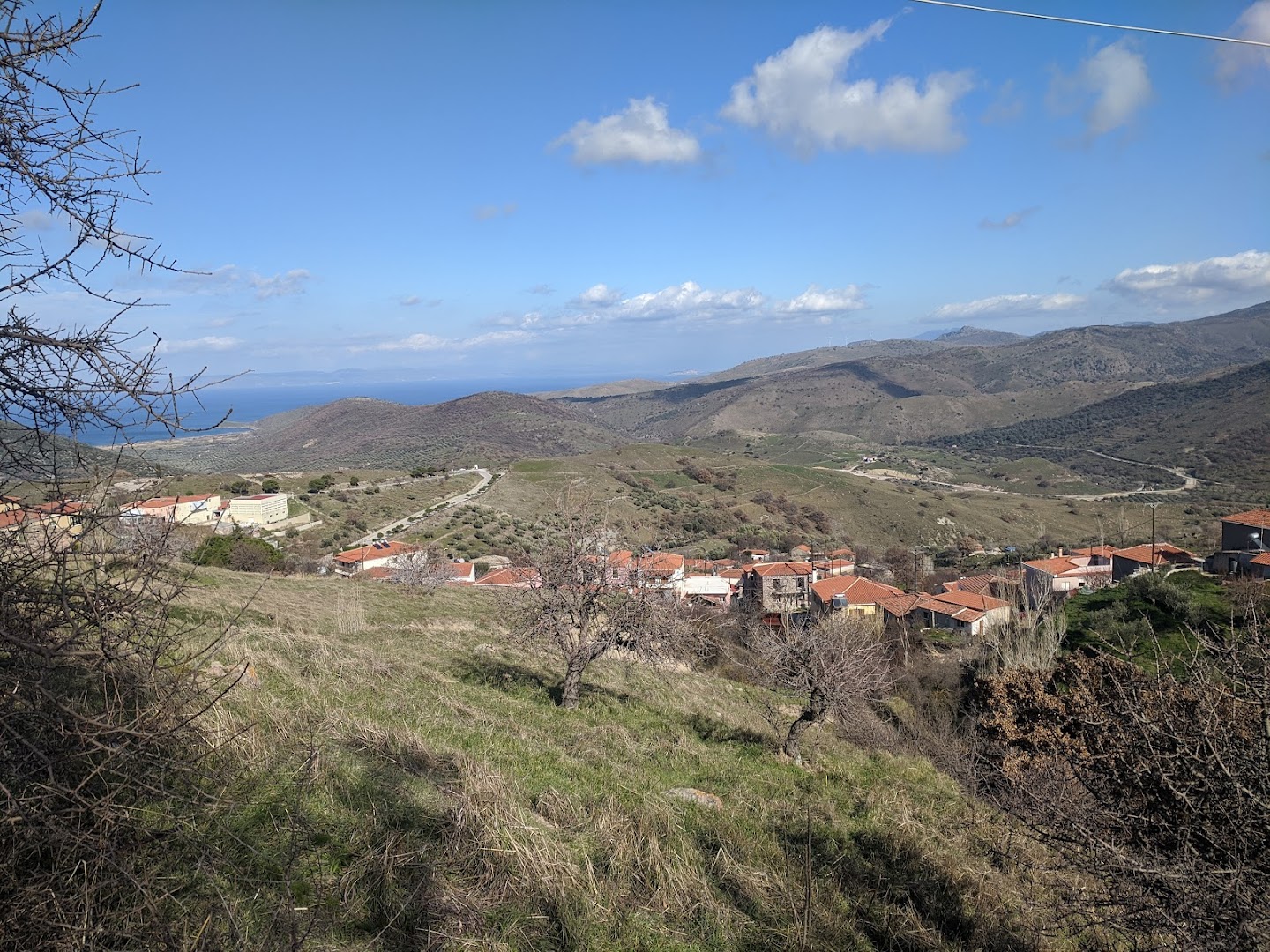 Gallery image 10