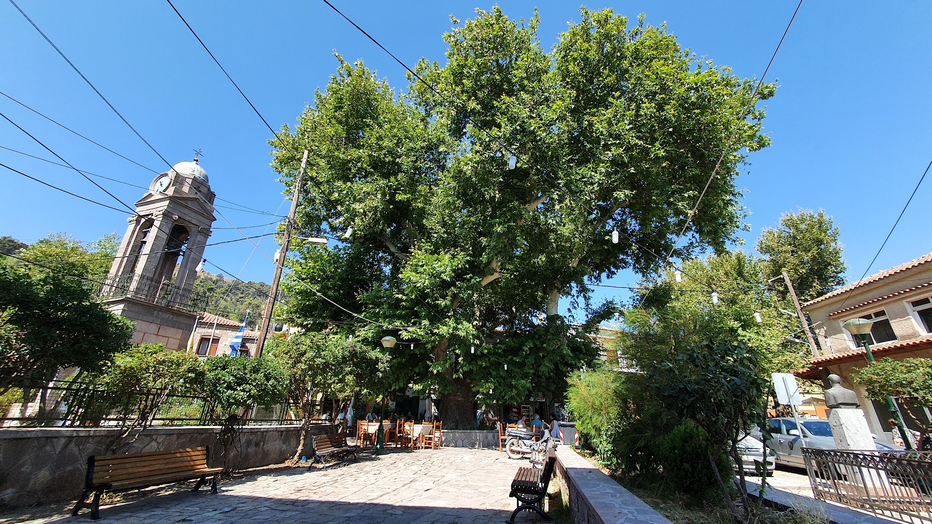 Gallery image 11