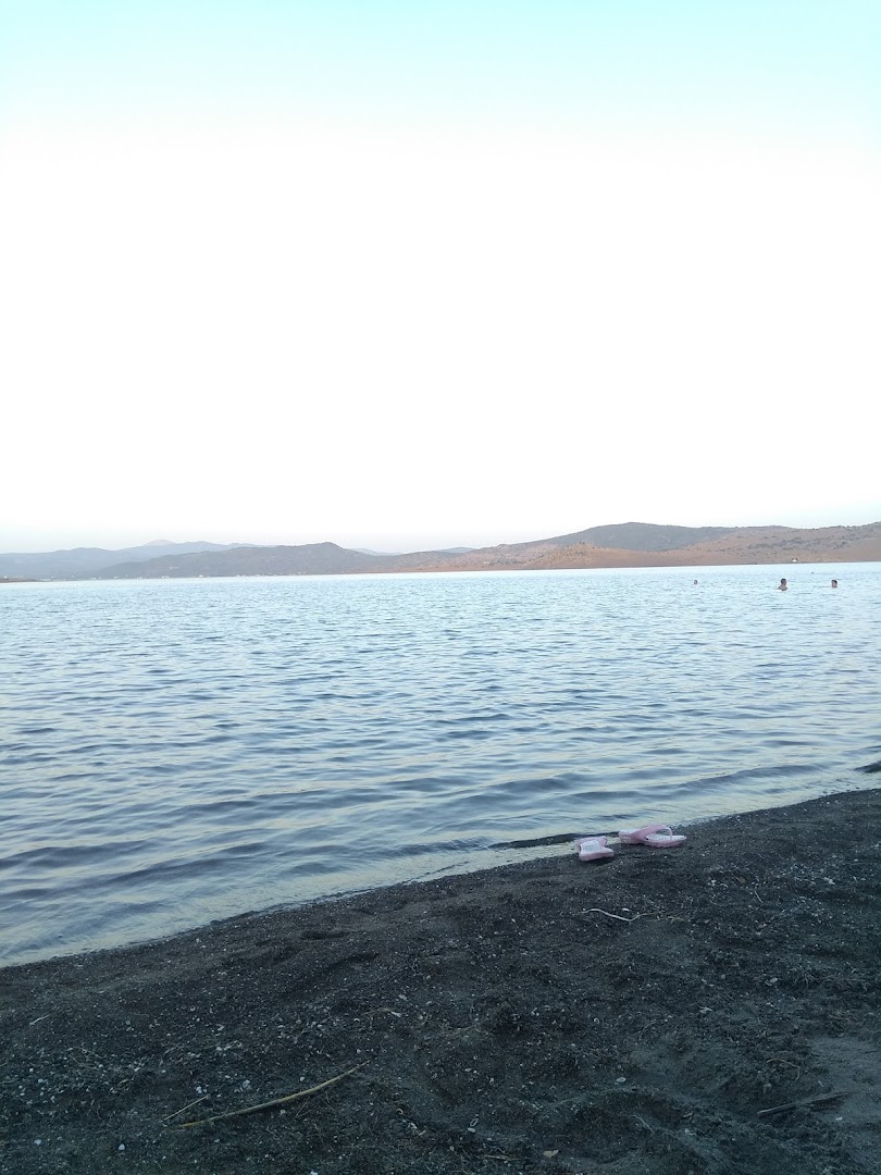 Gallery image 11
