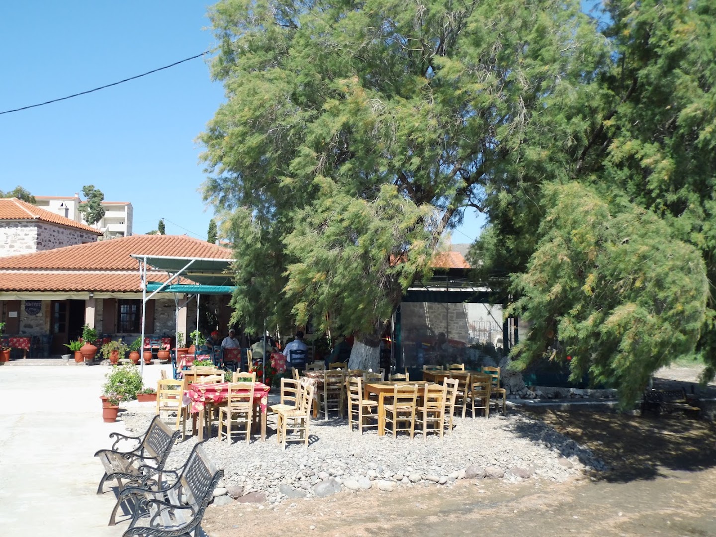 Gallery image 15