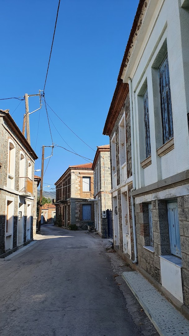 Gallery image 10