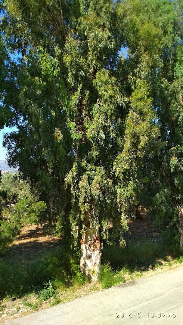 Gallery image 8
