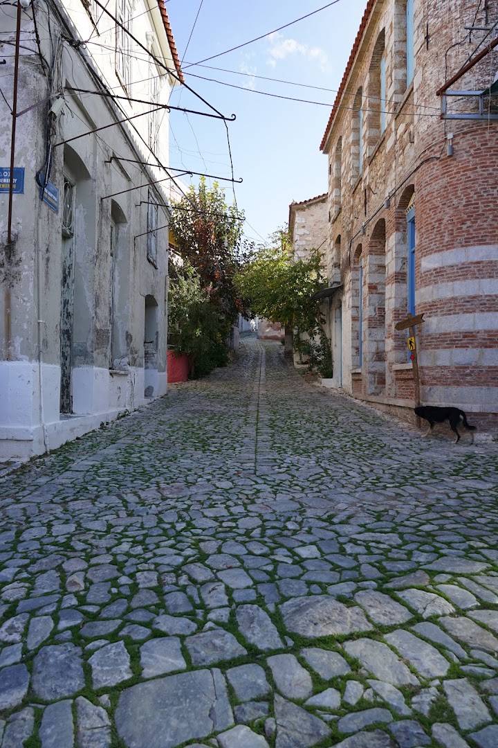 Gallery image 19