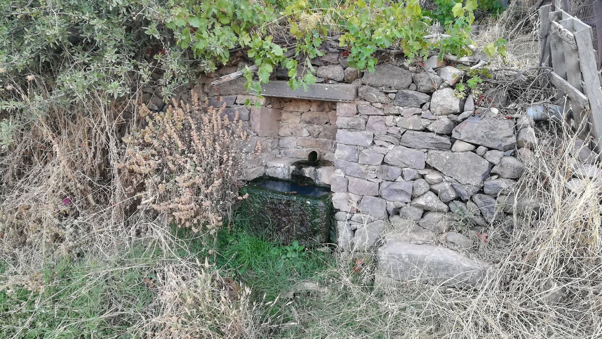 Gallery image 8
