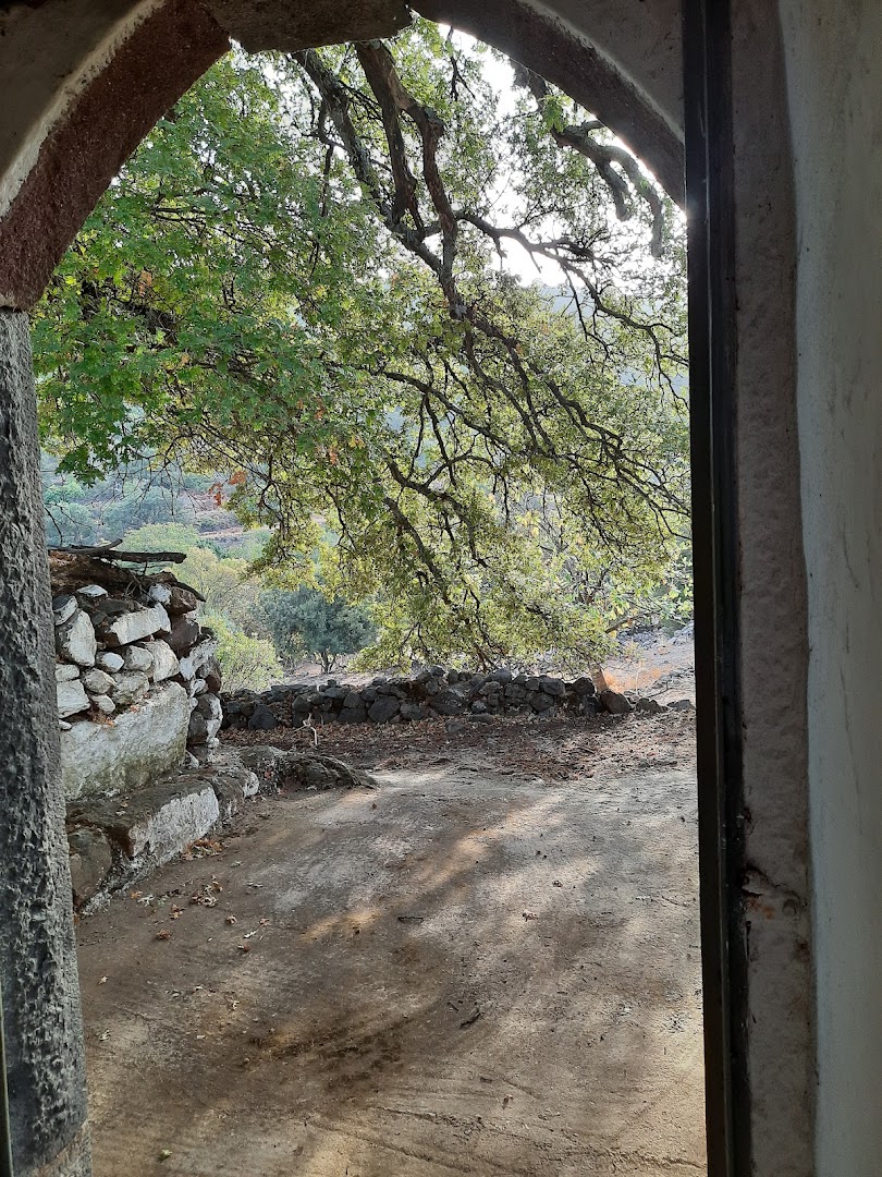 Gallery image 17