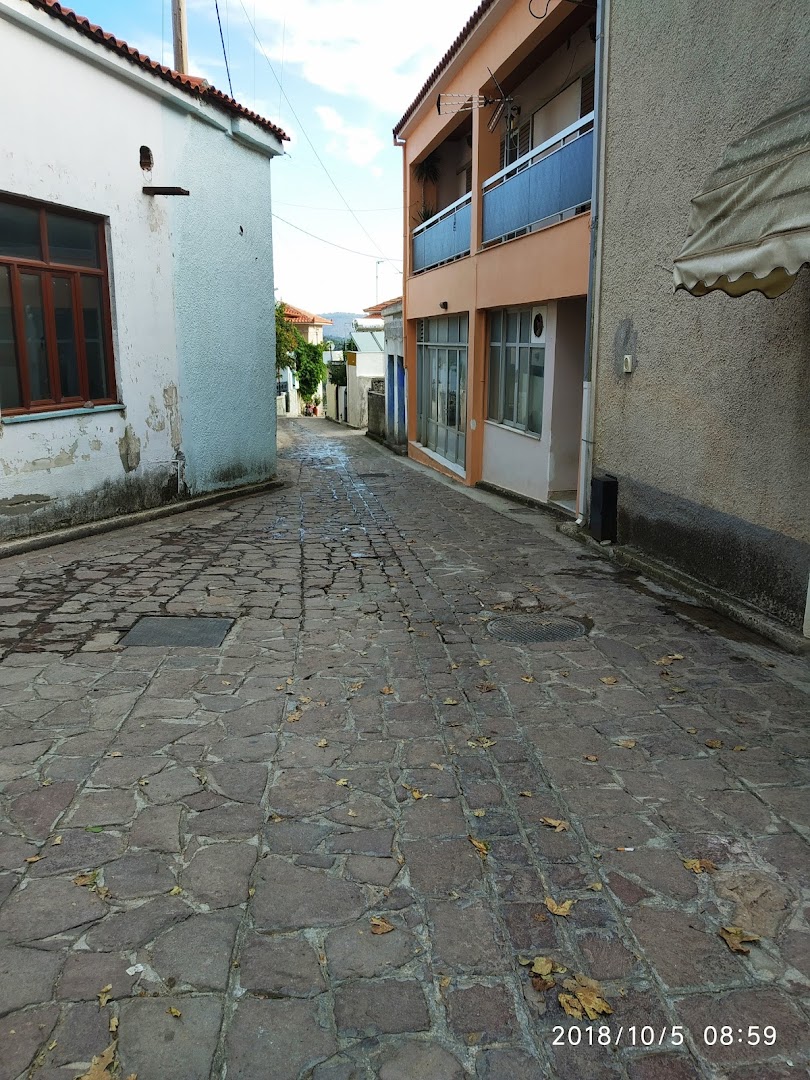 Gallery image 19