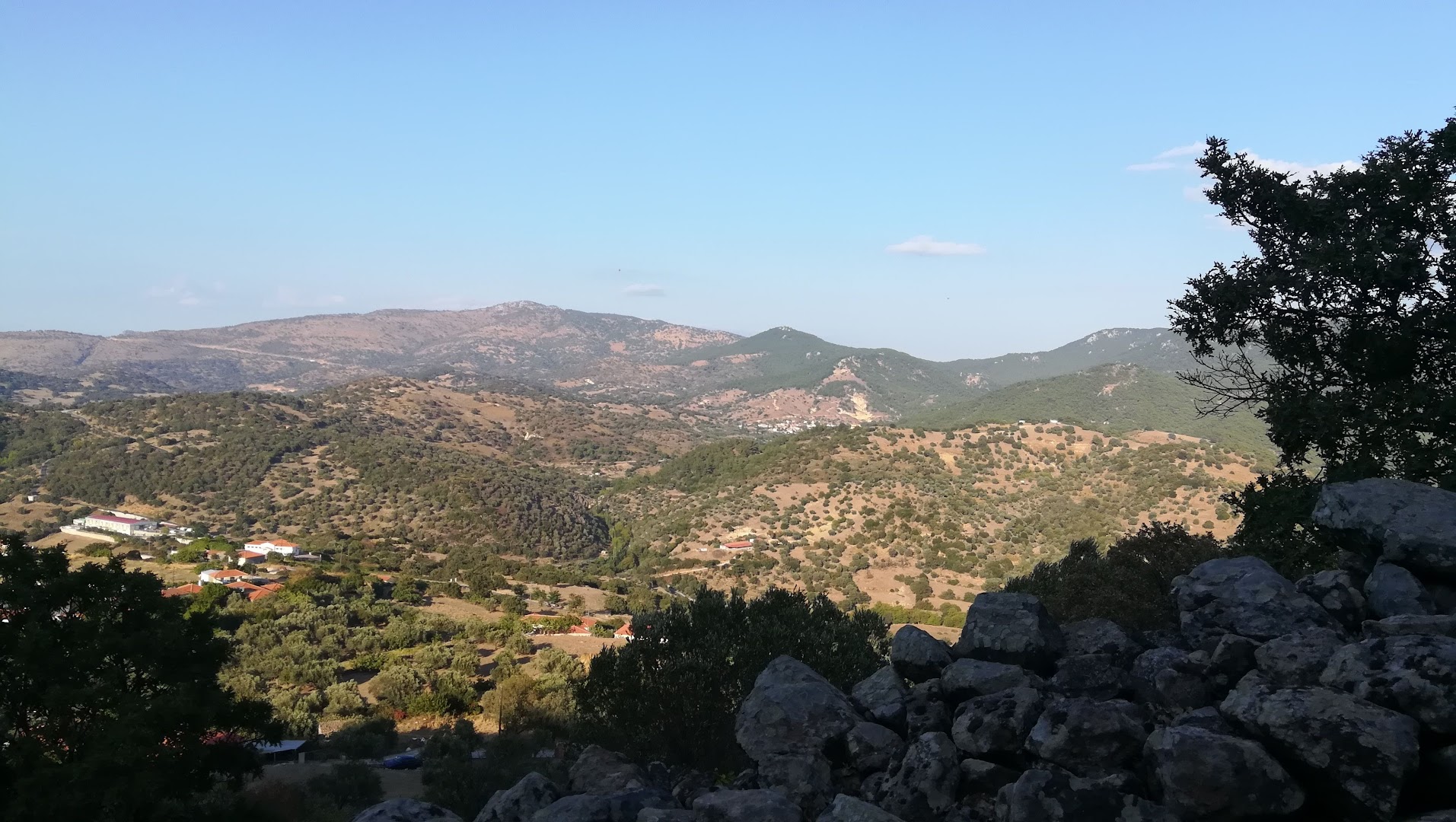 Gallery image 11