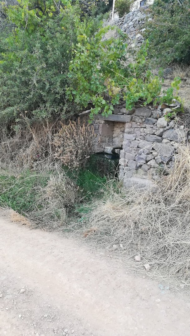 Gallery image 16