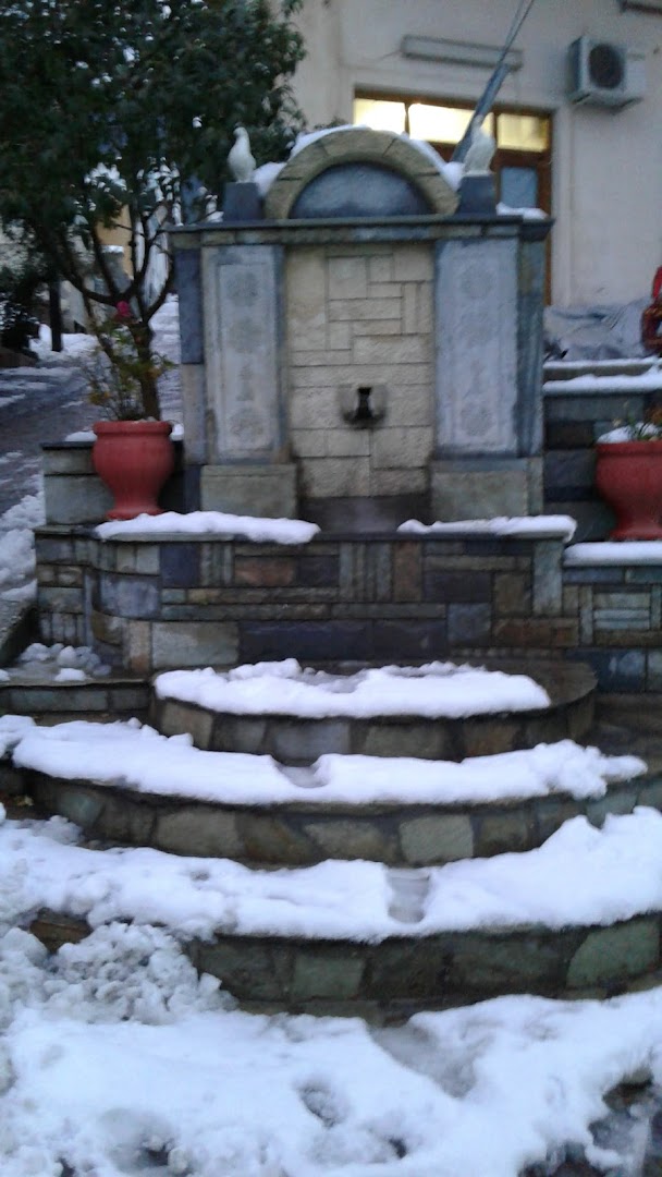 Gallery image 7