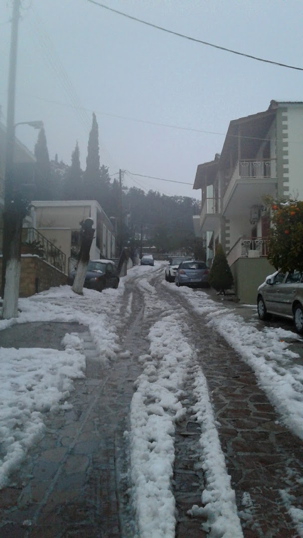 Gallery image 10