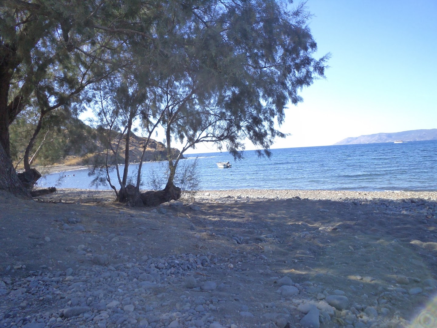 Gallery image 13