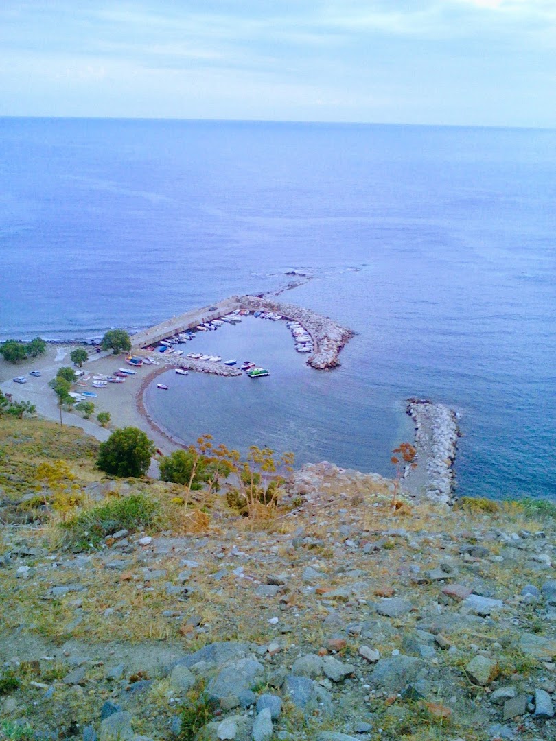 Gallery image 9