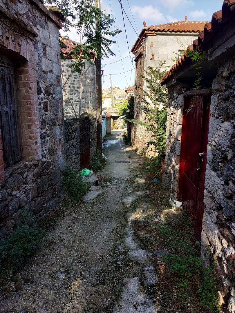 Gallery image 9