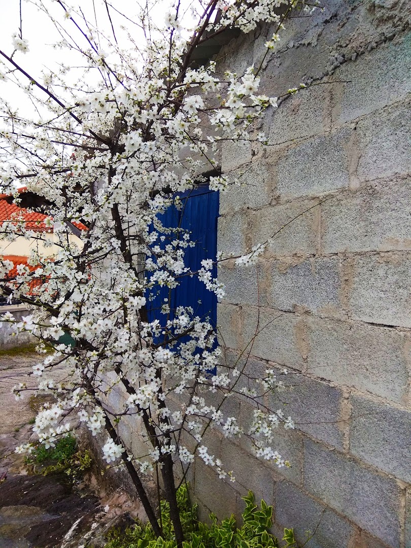 Gallery image 15
