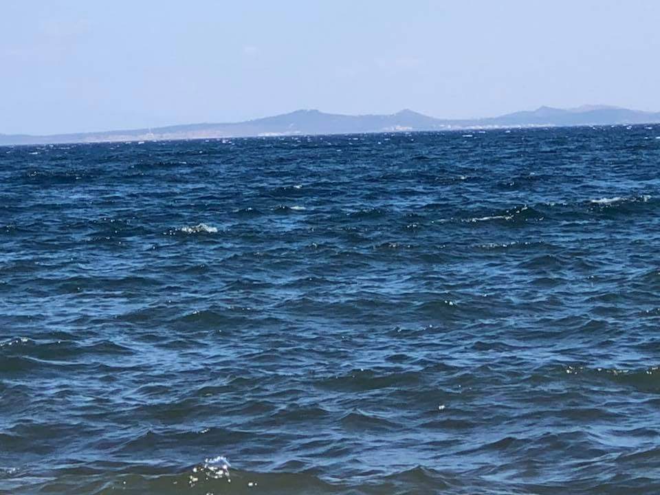 Gallery image 11