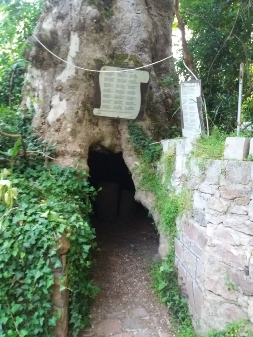 Gallery image 3