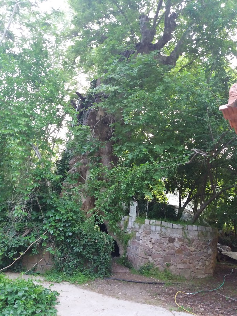 Gallery image 8