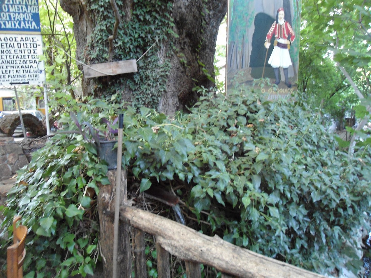 Gallery image 10