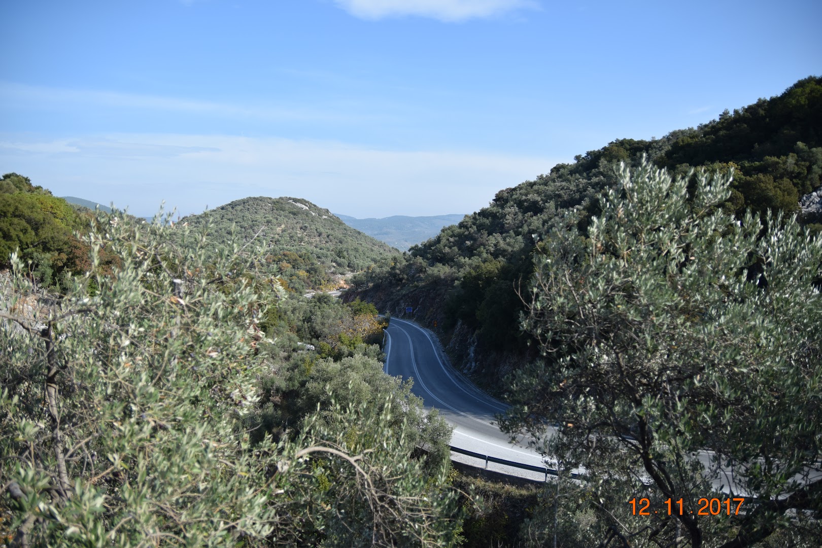 Gallery image 11